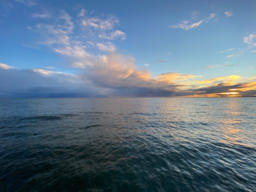 Looking out to sea at sunrise from the Arbroath cliffs