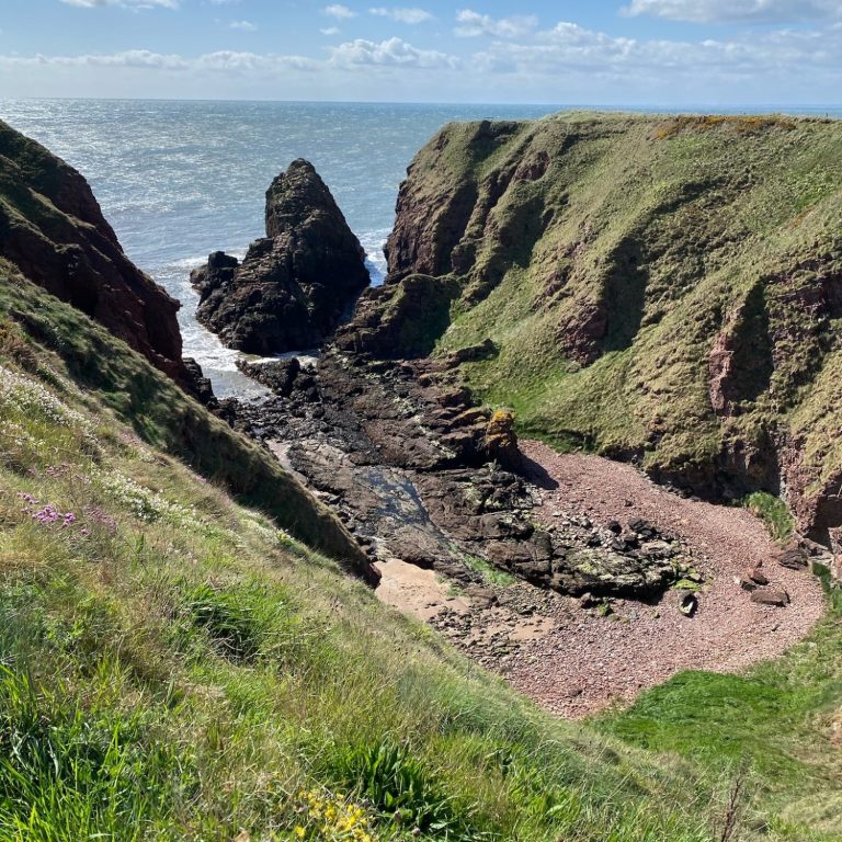 Dickmonts Den at Arbroath Cliffs.  A large collapsed geo following a fault line