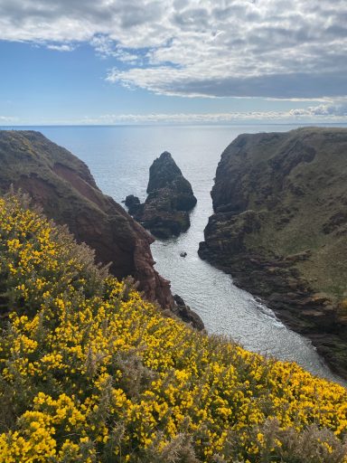 Dickmonts Den an exposed fault line with view out to sea